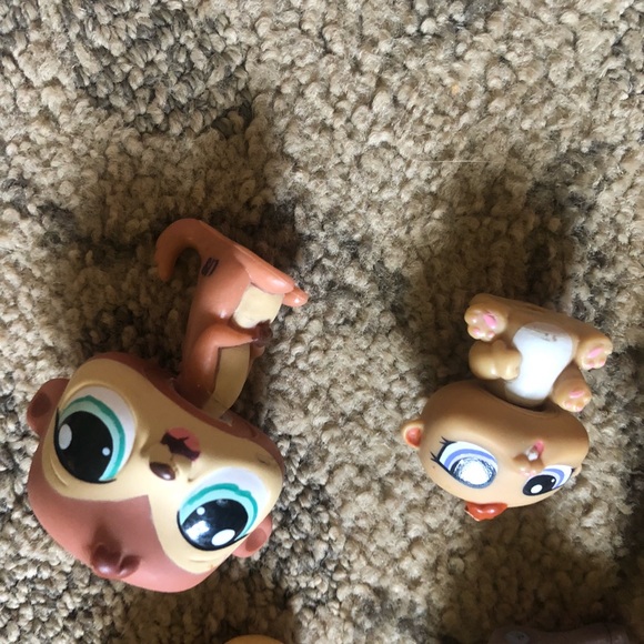 Littlest Pet Shop Paire d'animaux de compagnie - acheter sur